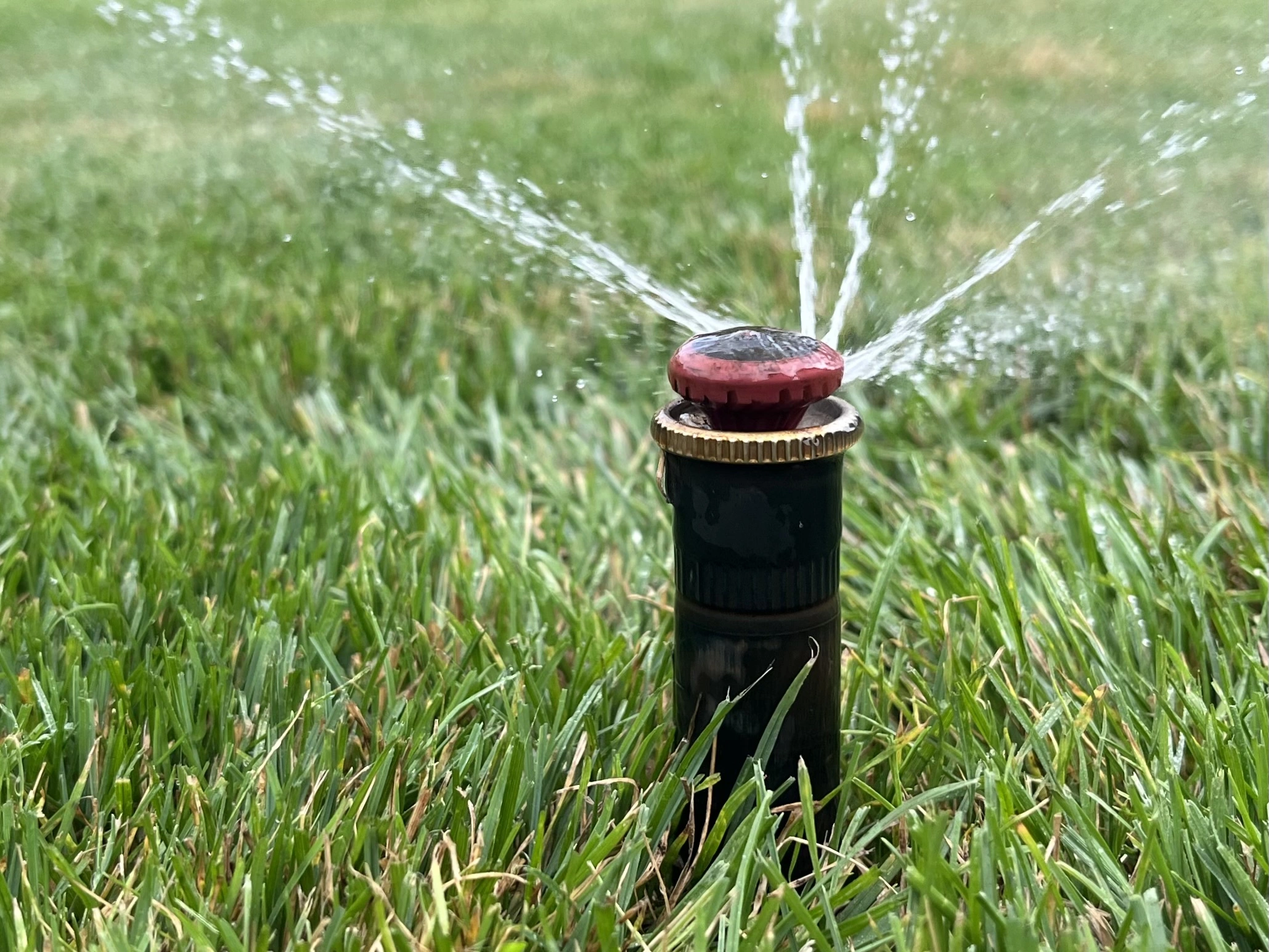 Verzorgde tuin met houten tuinhuis en strak groen gazon aangelegd door RS Tuinwerken in Turnhout