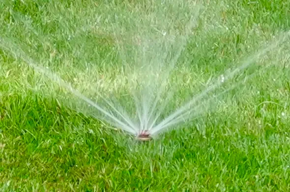 Tuinonderhoud en automatische tuinberegening aangelegd door RS Tuinwerken in Turnhout