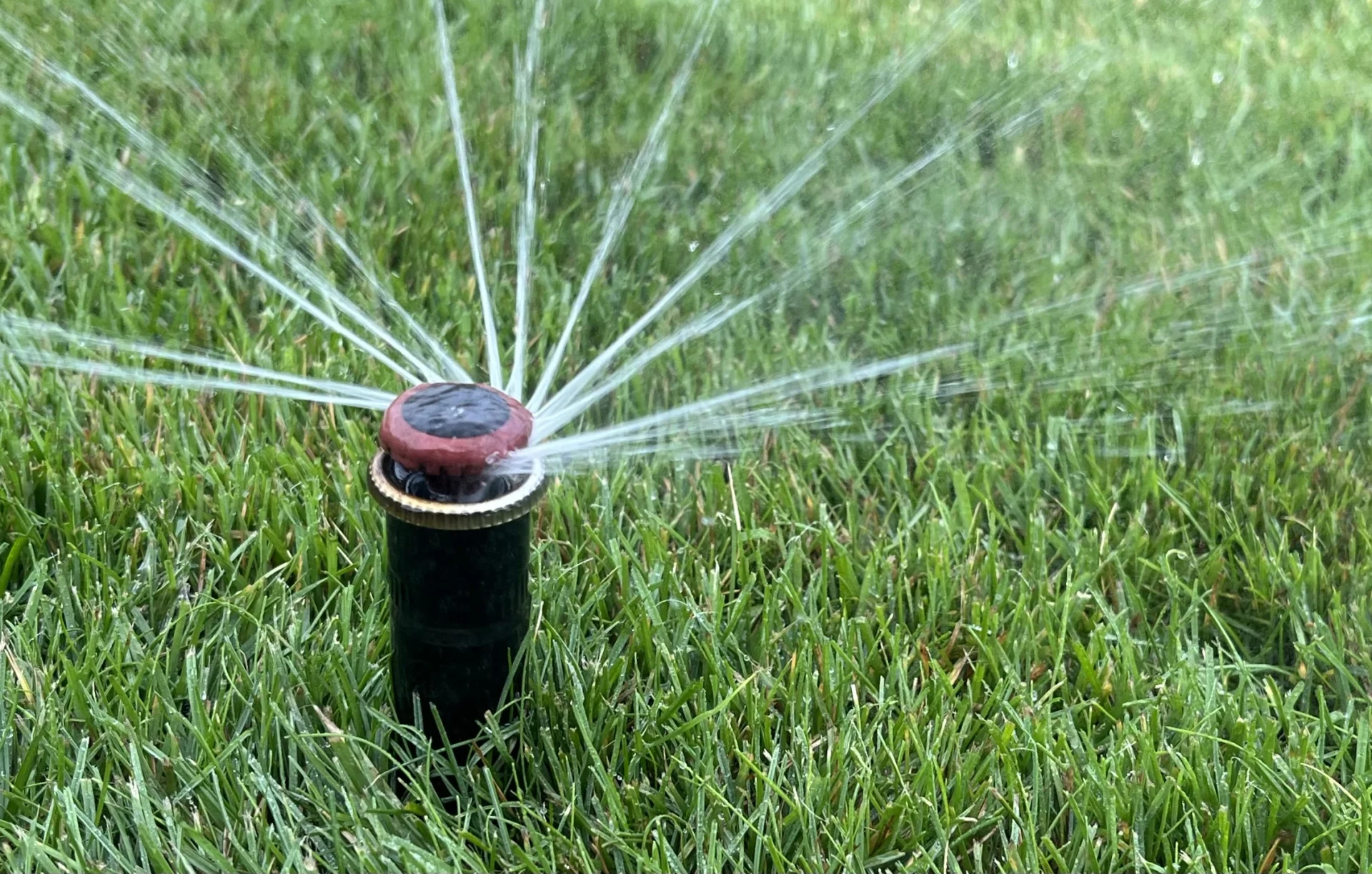 Beregening plaatsen Turnhout