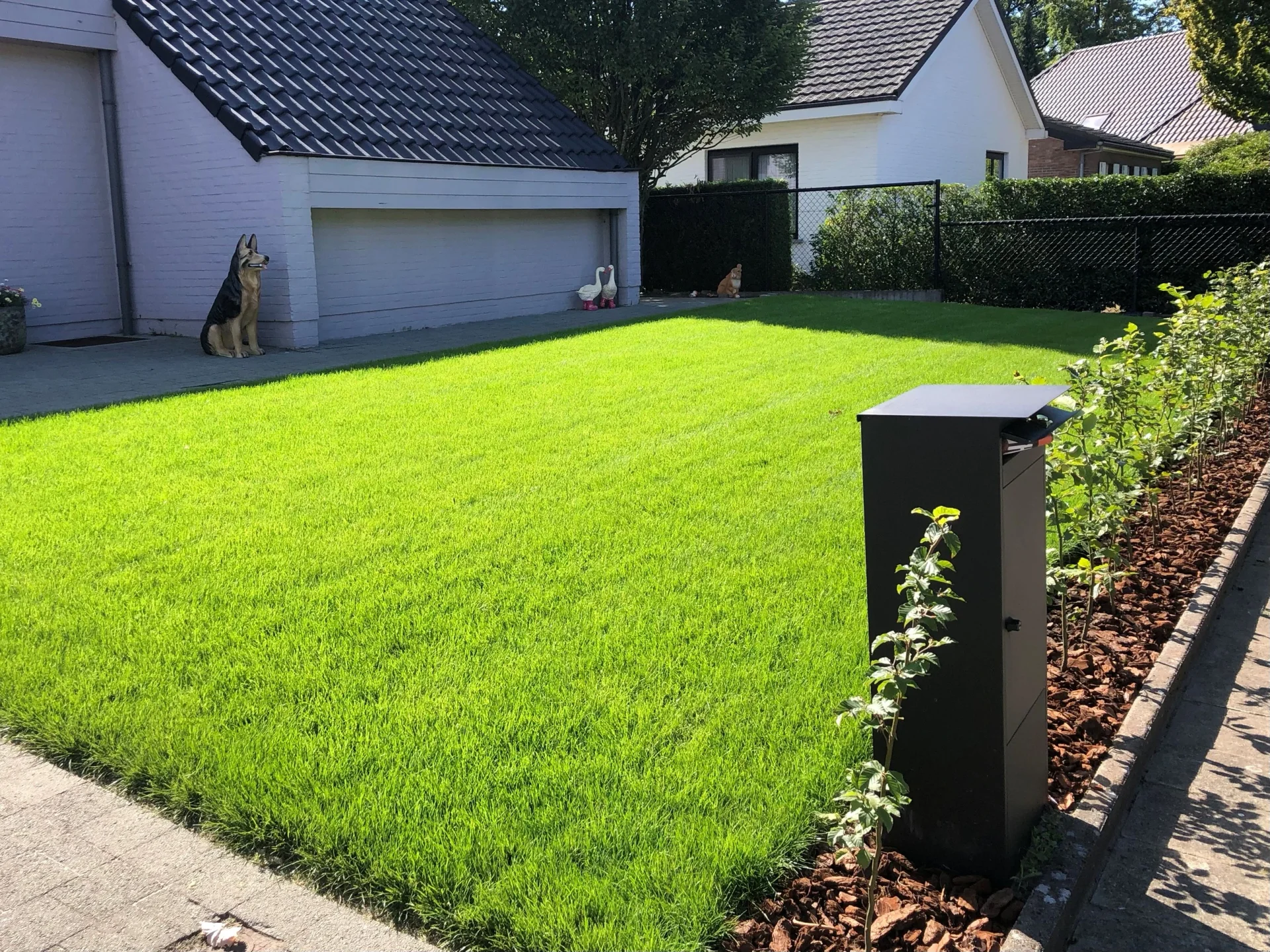 Gazonaanleg en aanplanting Turnhout